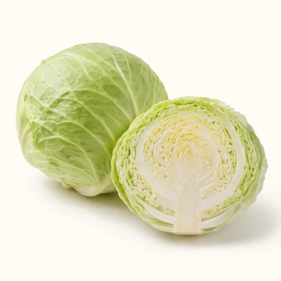 Green Round Cabbage — Kobis Bulat