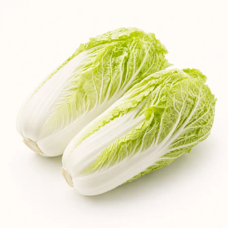 Chinese Long Cabbage — Kubis Panjang Cina