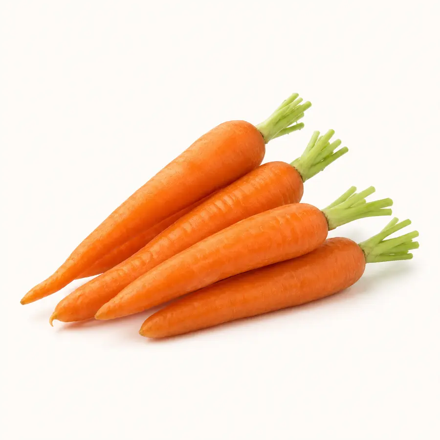 Carrots — Lobak Merah