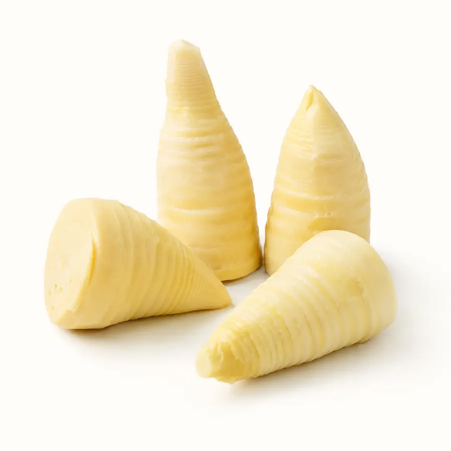 Bamboo Shoot — Rebung