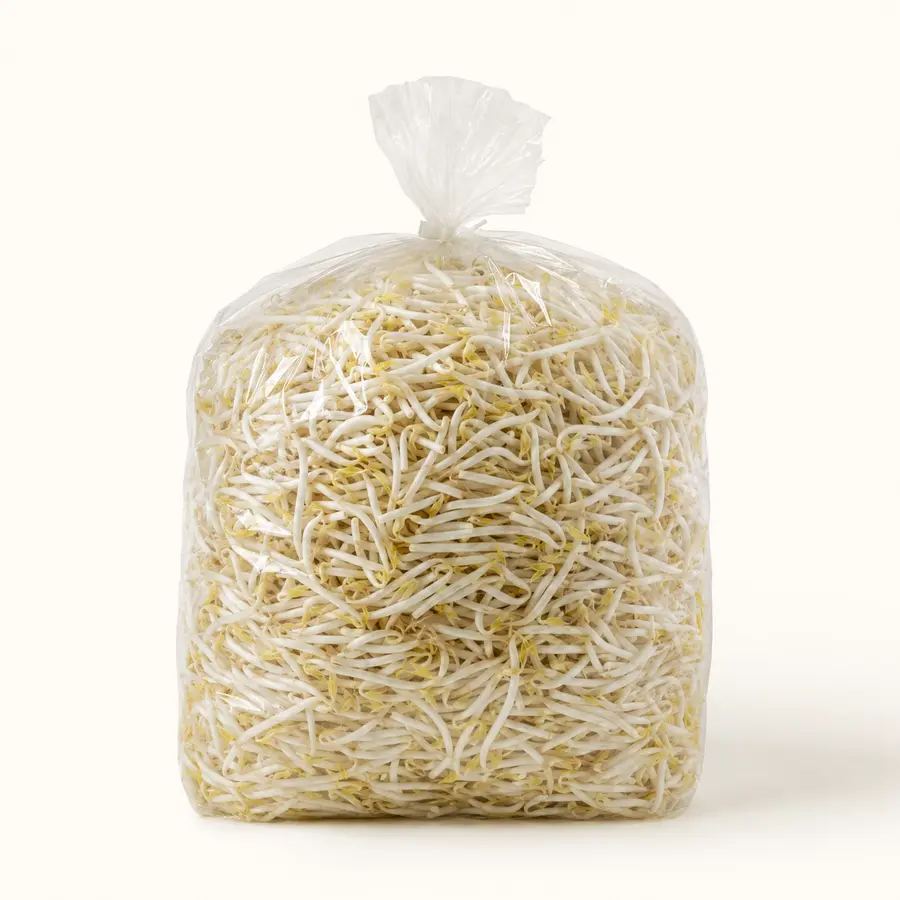 Bean Sprouts — Taugeh