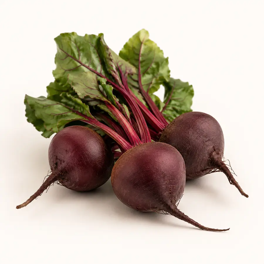 Beetroot — Ubi Bit