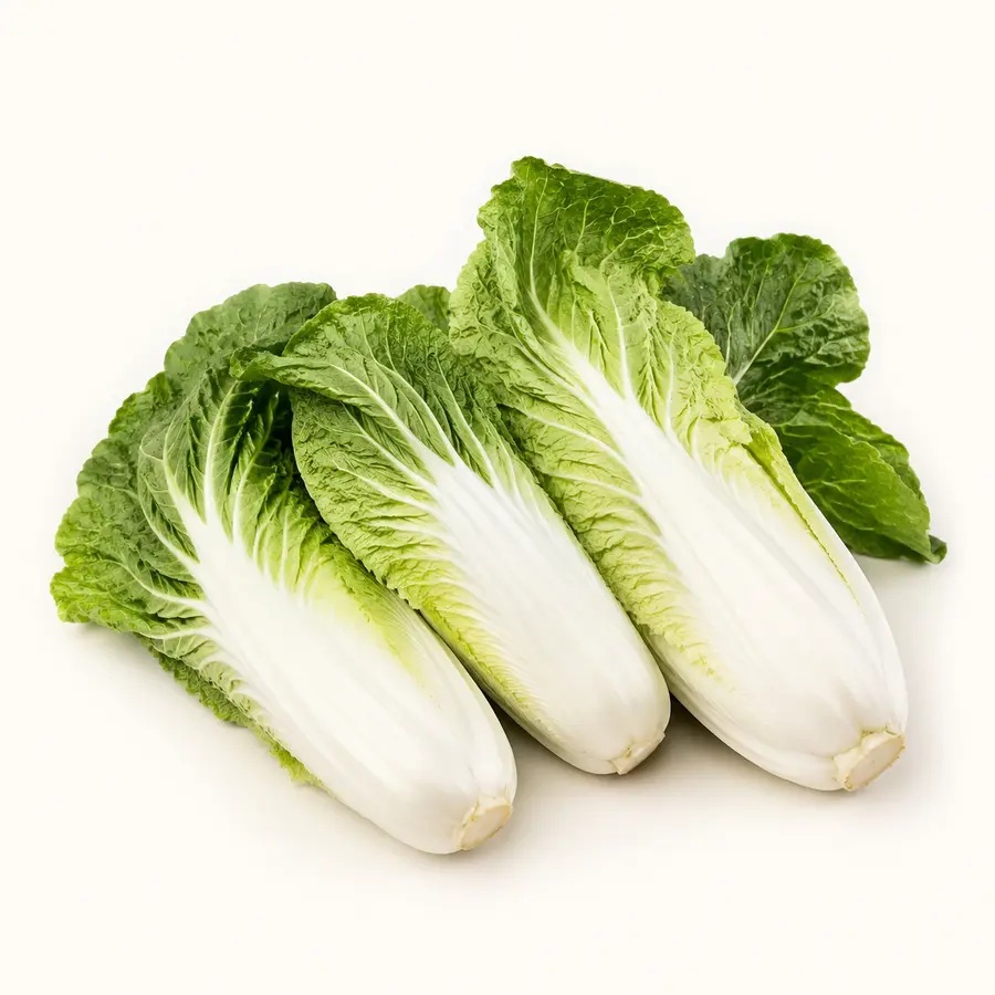 White Bok Choy — Sawi Putih