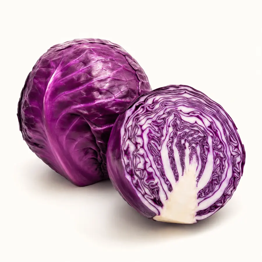 Purple Cabbage — Kobis Ungu